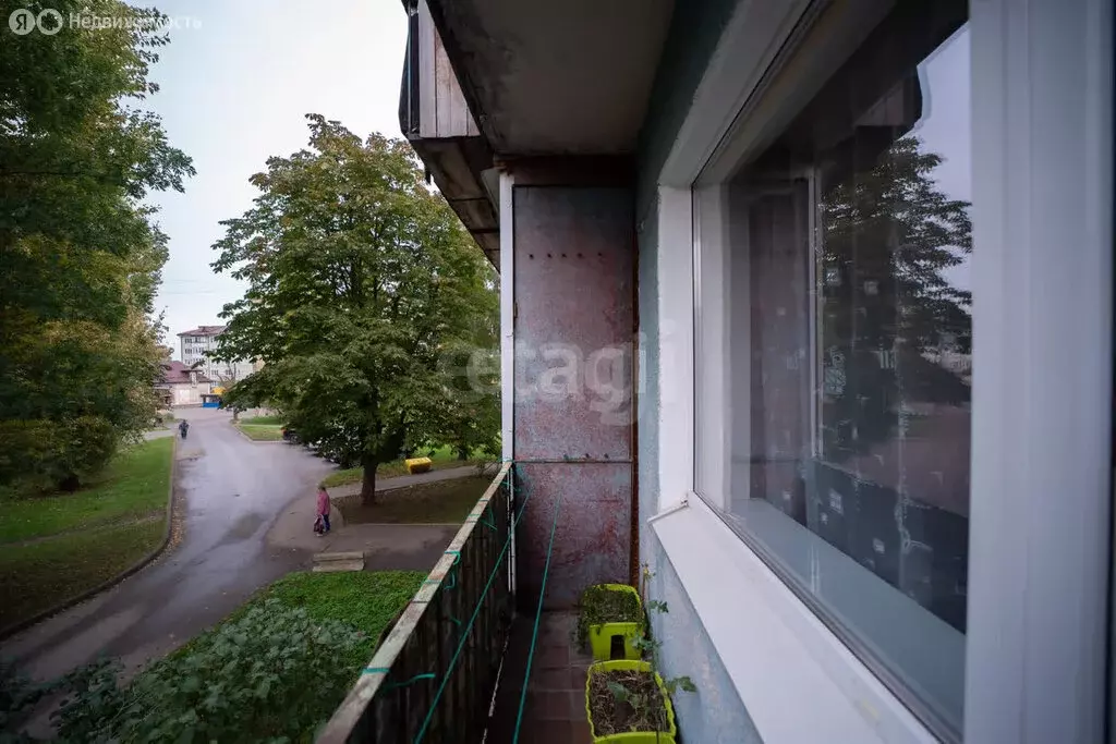 1-комнатная квартира: посёлок городского типа Янтарный, Советская ... - Фото 1