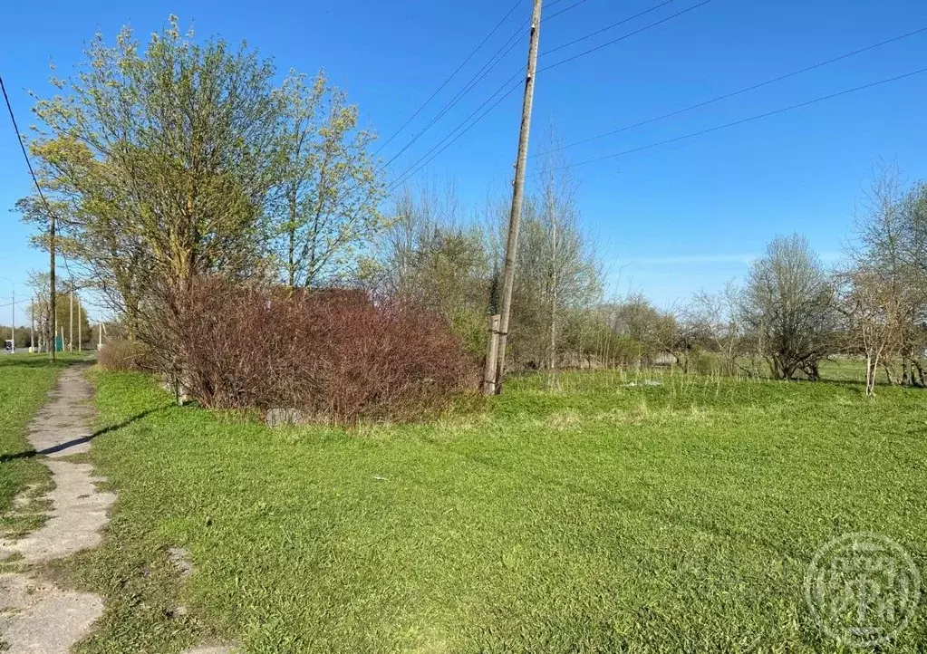 Участок в Ленинградская область, Ломоносовский район, Кипенское с/пос, ... - Фото 1