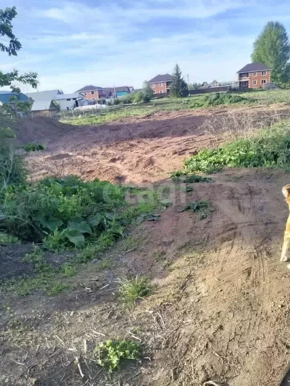 Участок в Башкортостан, Уфимский район, Зубовский сельсовет, с. Зубово ... - Фото 0