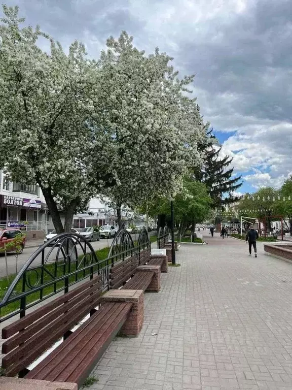 2-к кв. Марий Эл, Йошкар-Ола бул. Чавайна, 40 (46.0 м) - Фото 0