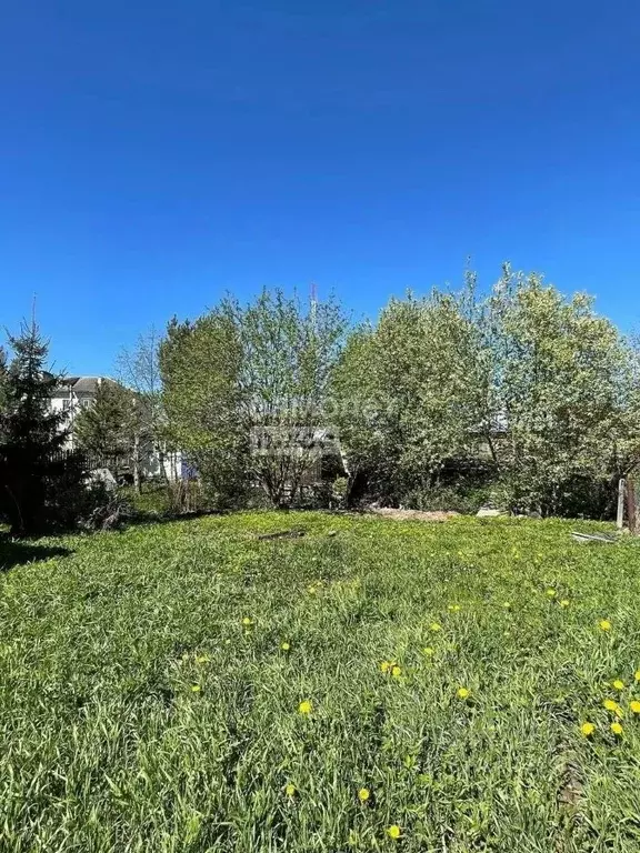 Участок в Вологодская область, Грязовецкий муниципальный округ, д. ... - Фото 2