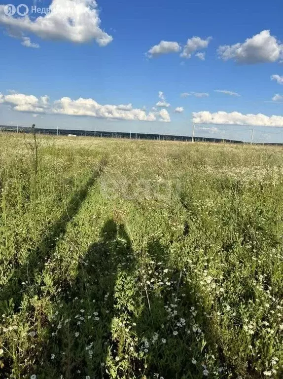 Участок в Воронеж, Дачная улица (12 м) - Фото 0