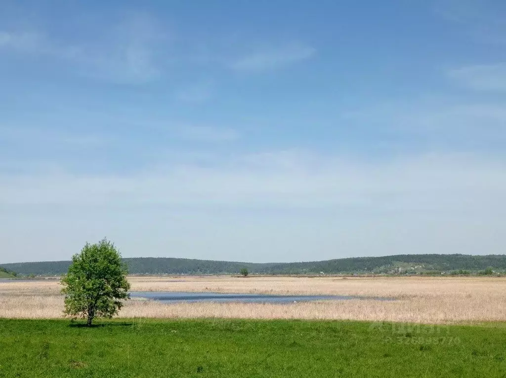 Участок в Пермский край, Кунгурский муниципальный округ, д. Щелканы  ... - Фото 2