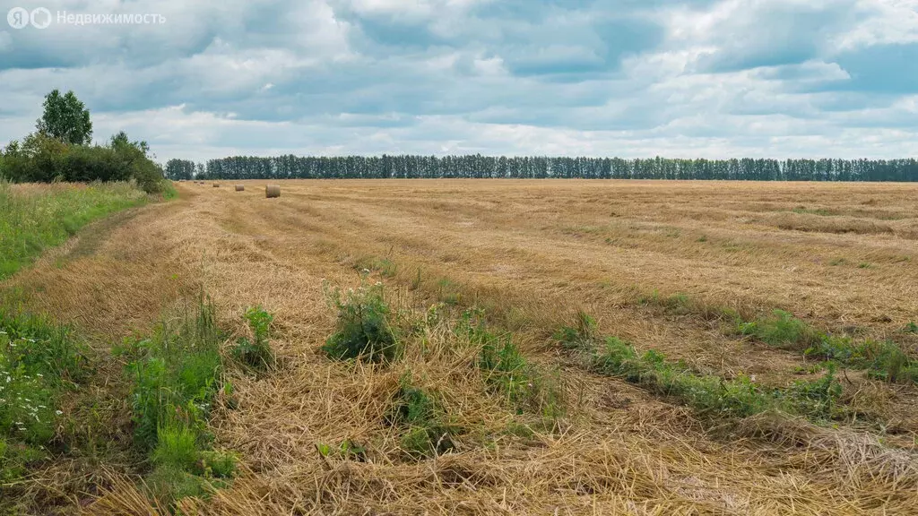 Участок в Ясногорский район, муниципальное образование Иваньковское, ... - Фото 0