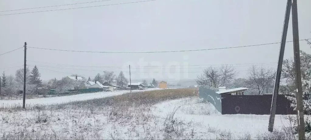 Участок в Тульская область, Веневский район, Центральное муниципальное ... - Фото 0