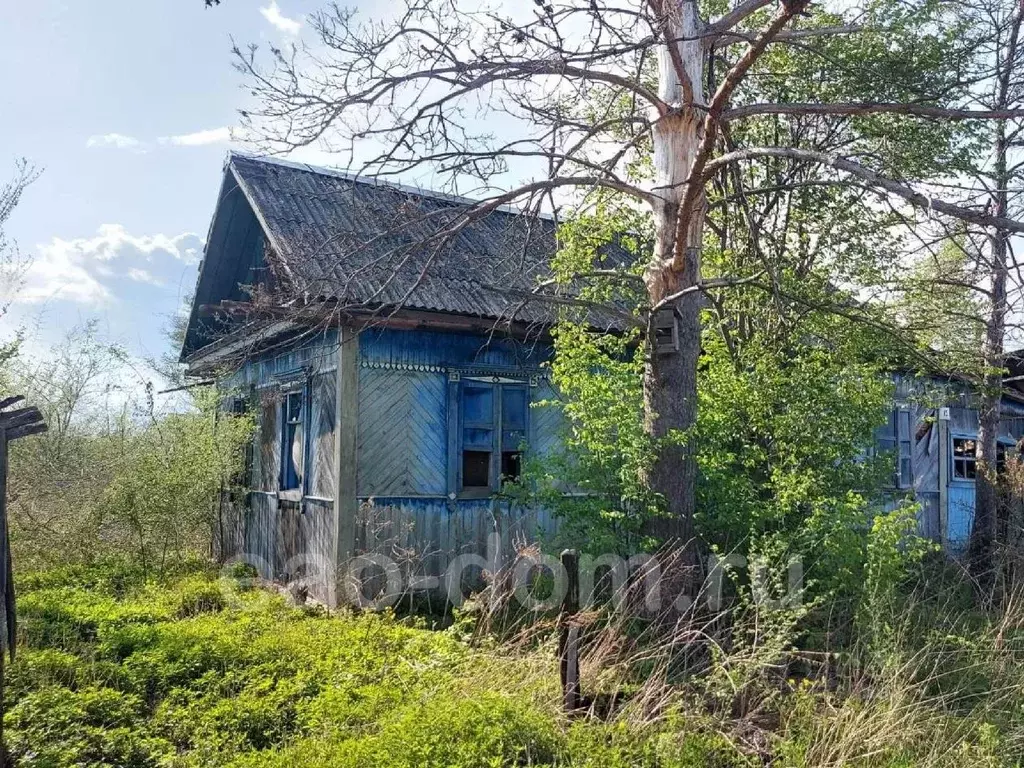 Дом в Еврейская автономная область, Смидовичский район, пос. ... - Фото 0