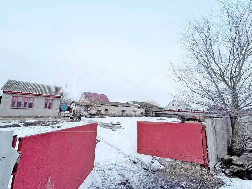 Дом в Воронежская область, Поворино ул. Чехова, 58 (24 м) - Фото 0