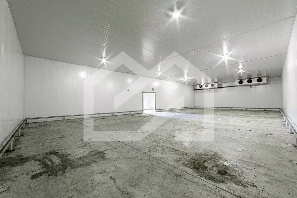 Помещение свободного назначения в Московская область, Раменское ул. ... - Фото 1