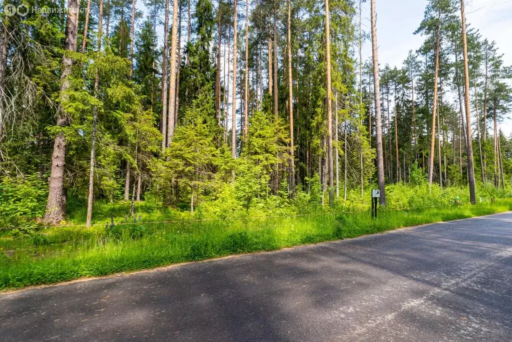 Участок в Рощино, КП Еловая Усадьба (12.48 м) - Фото 0