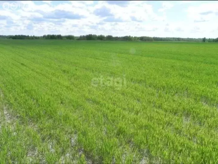 Участок в село Подовинное, Кирпичная улица (1020 м) - Фото 2