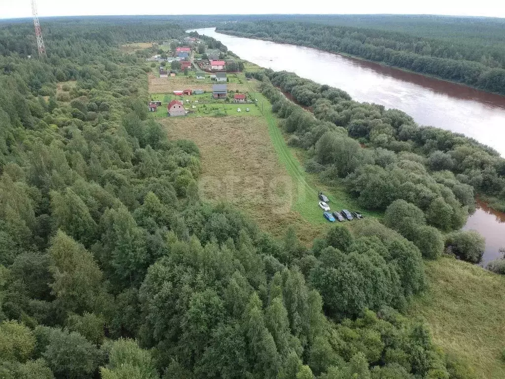 Участок в Ленинградская область, Волховский район, Пашское с/пос, д. ... - Фото 2
