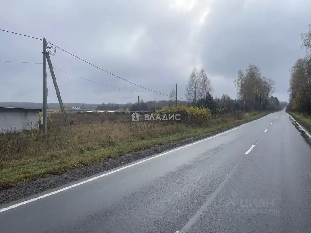 Участок в Владимирская область, Судогодский район, с. Чамерево ул. ... - Фото 1