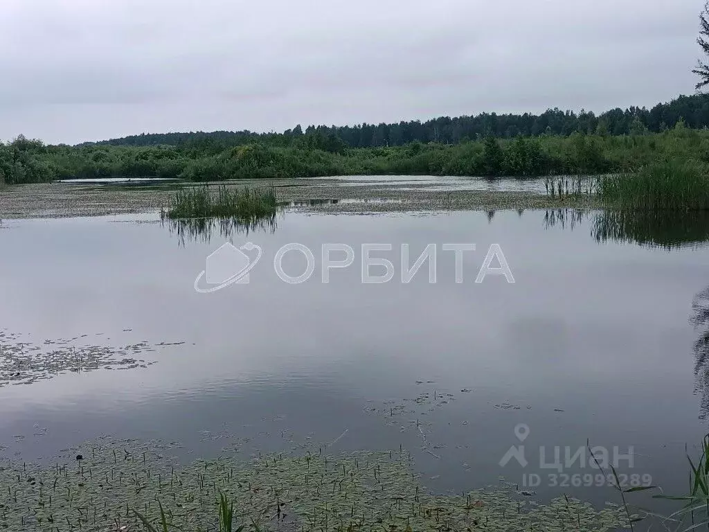 Участок в Тюменская область, Нижнетавдинский муниципальный округ, д. ... - Фото 1