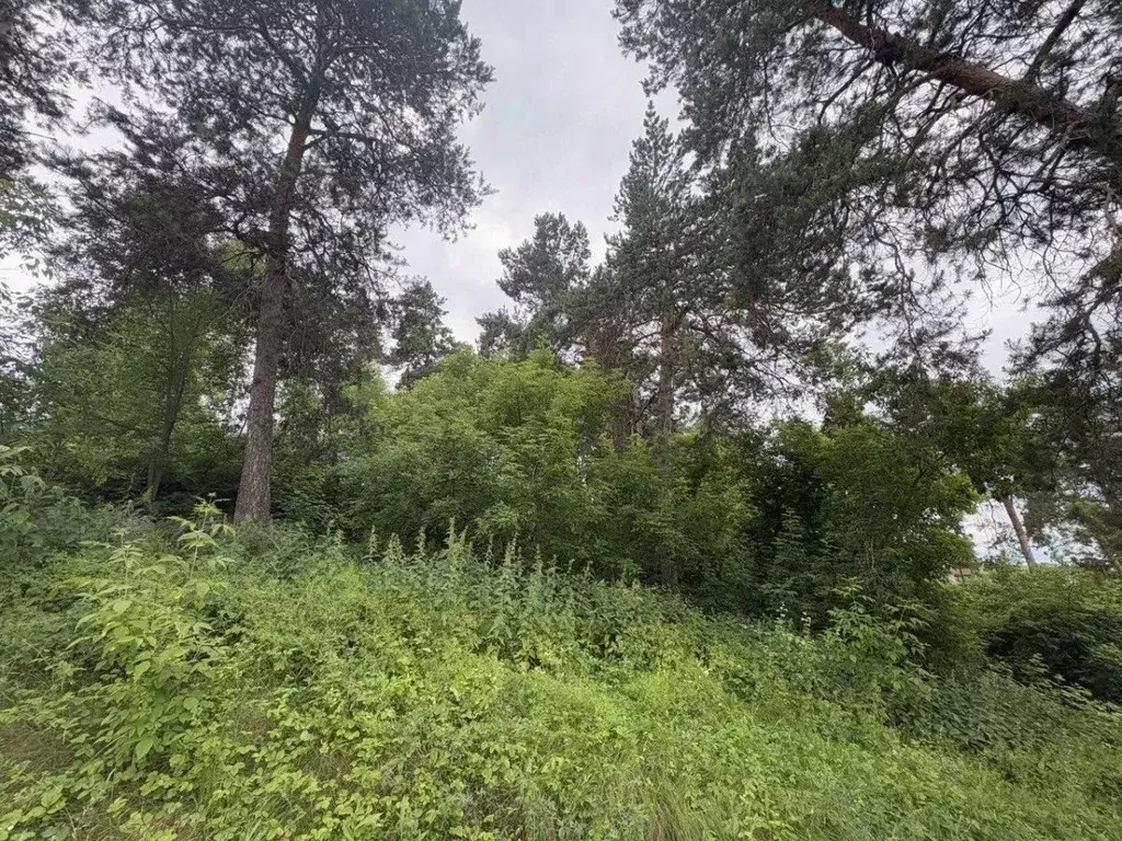 Участок в Самарская область, Красноярский район, Новый Буян с/пос, с. ... - Фото 1