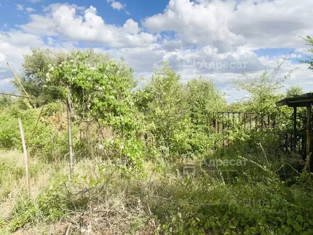Участок в Волгоградская область, Городищенский район, Ерзовское ... - Фото 1