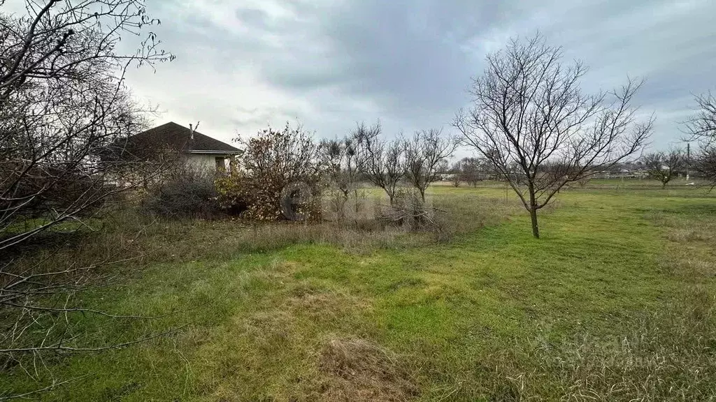 Участок в Крым, Черноморский район, Оленевское с/пос, с. Калиновка ул. ... - Фото 1