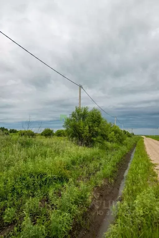 Участок в Амурская область, Благовещенский район, с. Усть-Ивановка ... - Фото 0
