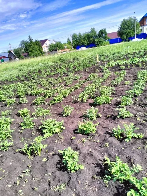 Участок в Башкортостан, Уфимский район, Зубовский сельсовет, с. ... - Фото 2