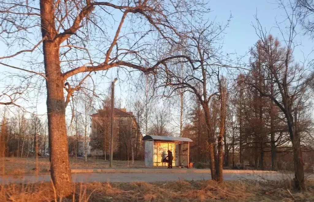 Участок в Ленинградская область, Гатчинский муниципальный округ, ... - Фото 1