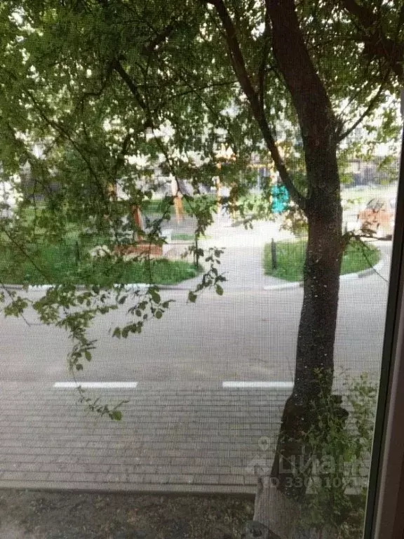 Комната Белгородская область, Белгород ул. Горького, 62 (18.0 м) - Фото 2