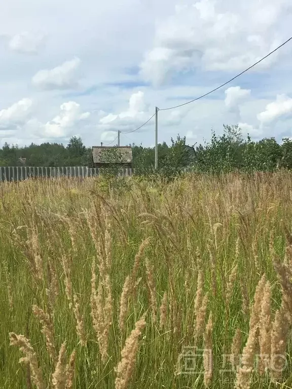 Участок 6 сот. (СНТ, ДНП) - Фото 1