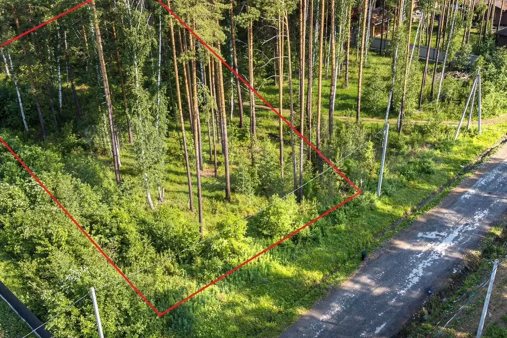 Участок 8 сот. (СНТ, ДНП) - Фото 0