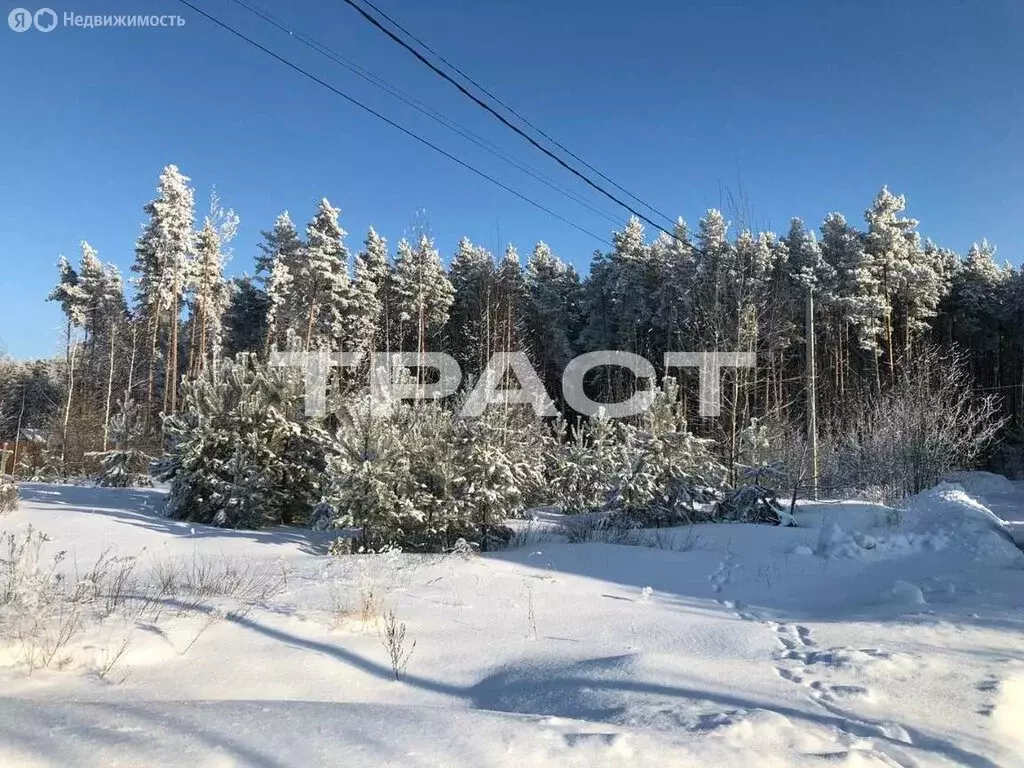 Участок в деревня Новоподклетное, улица Маршала Одинцова, 45 (30 м) - Фото 2