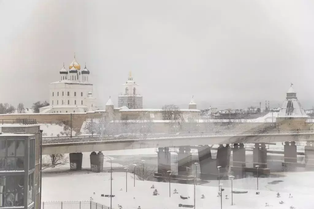 1-к кв. Псковская область, Псков Ольгинская наб., 5А (40.0 м) - Фото 1