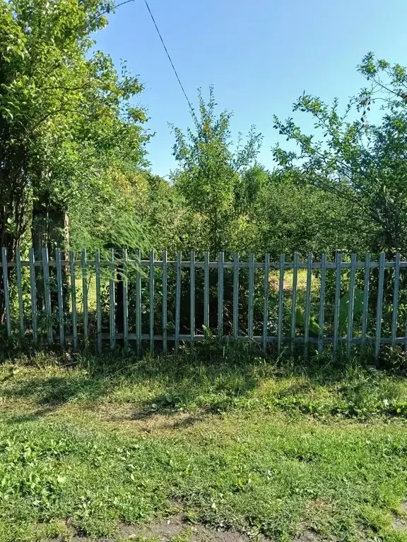 Участок в Марий Эл, Медведевский район, Сидоровское с/пос, Дружба СНТ, ... - Фото 2