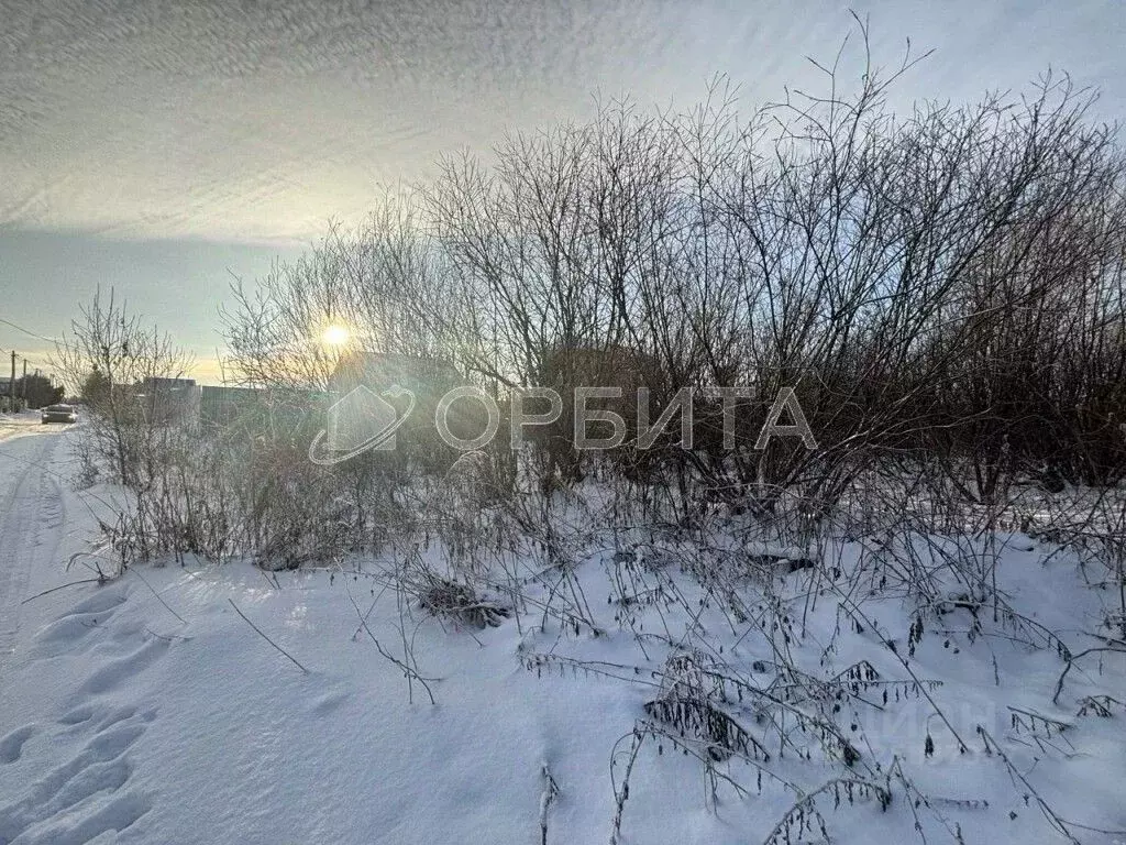 Участок в Тюменская область, Тюменский муниципальный округ, д. ... - Фото 2