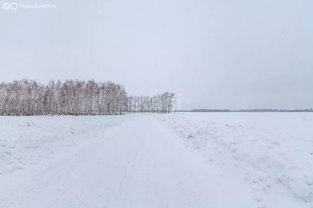 Участок в Омский район, село Пушкино (5.8 м) - Фото 1