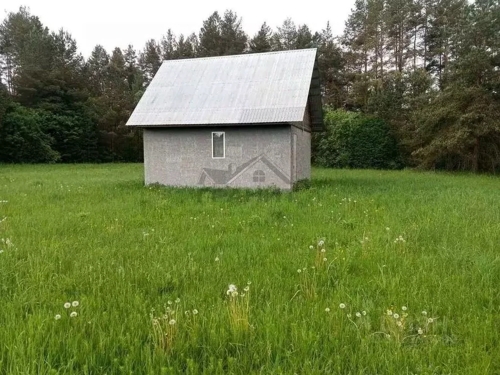 Дом в Новгородская область, Крестецкий муниципальный округ, д. Заречье ... - Фото 2