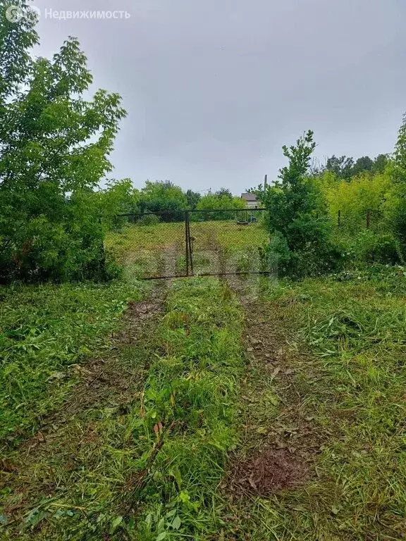 Участок в Пермский край, Чернушка (7.8 м) - Фото 1