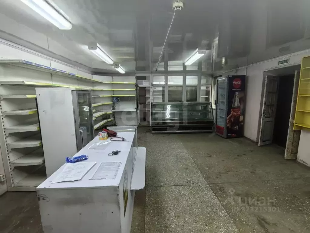 Торговая площадь в Камчатский край, Петропавловск-Камчатский ул. ... - Фото 1