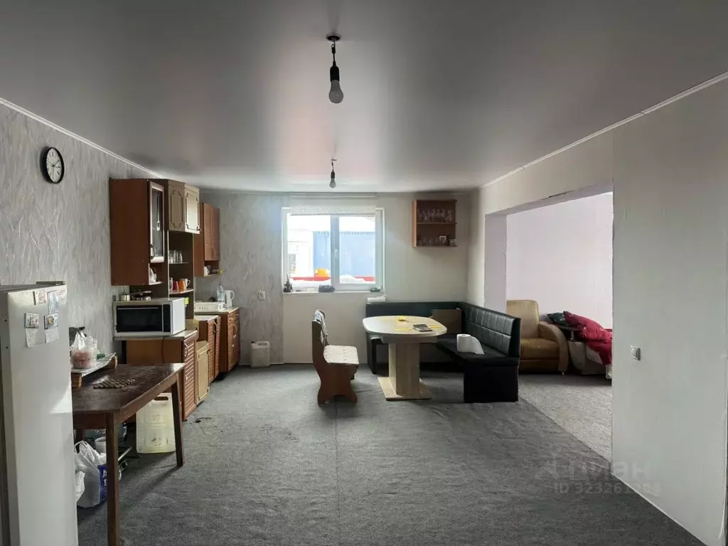 Дом в Омская область, Омский район, с. Пушкино ул. 30 лет Победы, 39А ... - Фото 1