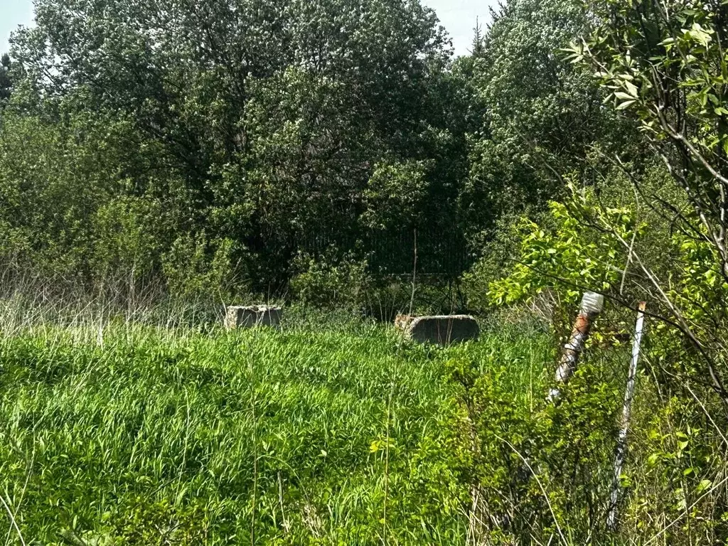 Участок в Московская область, Ступино городской округ, д. Шелково ул. ... - Фото 0