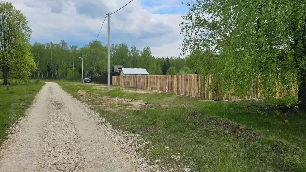 Участок в Владимирская область, Вязниковский район, Сарыевское ... - Фото 1