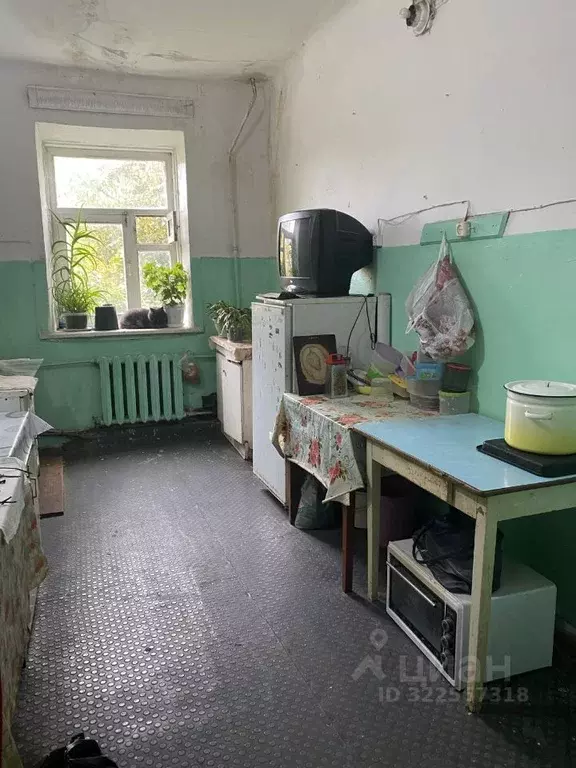 1-к кв. Нижегородская область, Павлово пер. Суворова, 15 (18.0 м) - Фото 1