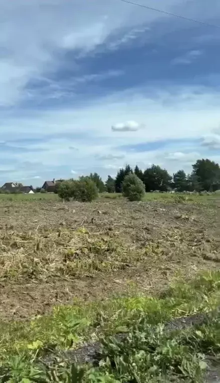 Участок в Ленинградская область, Всеволожский район, Бугровское ... - Фото 1