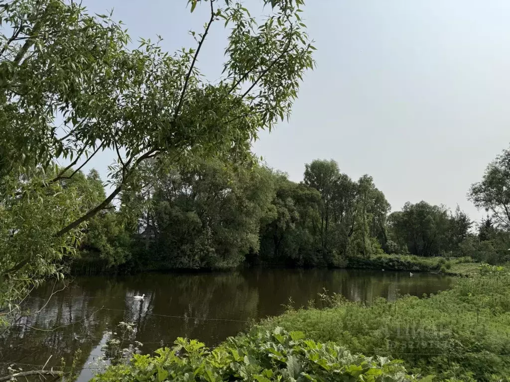 Участок в Московская область, Домодедово Новое Косино кп, 9 (5.13 ... - Фото 1