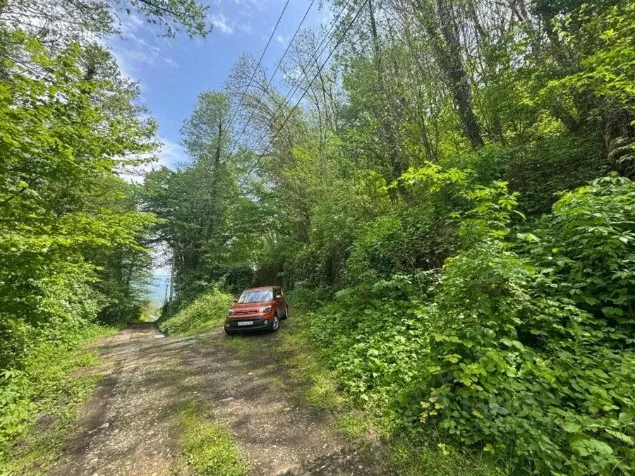Участок в Краснодарский край, Сочи городской округ, с. Харциз Первый ... - Фото 1