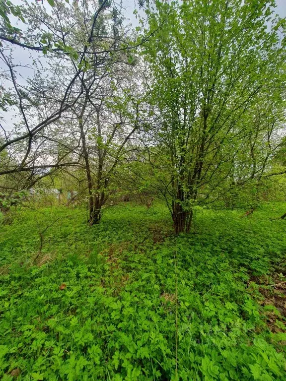 Участок, 9.3 сот., сельхоз (снт или днп) - Фото 0