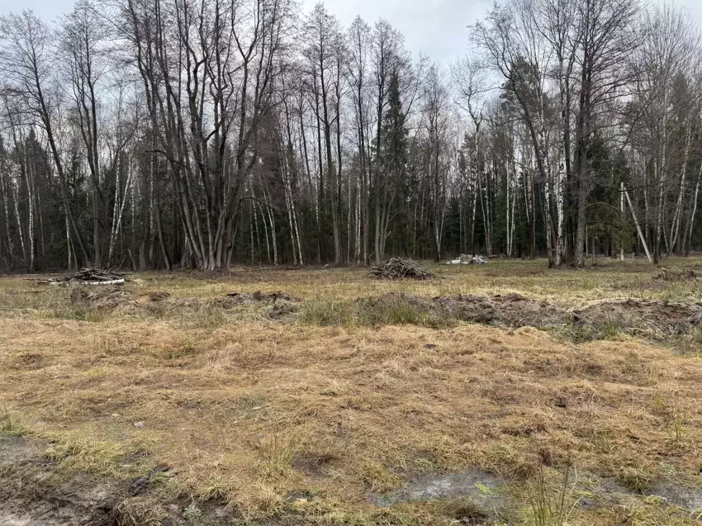 Участок в Московская область, Богородский городской округ, Южный зона  ... - Фото 1