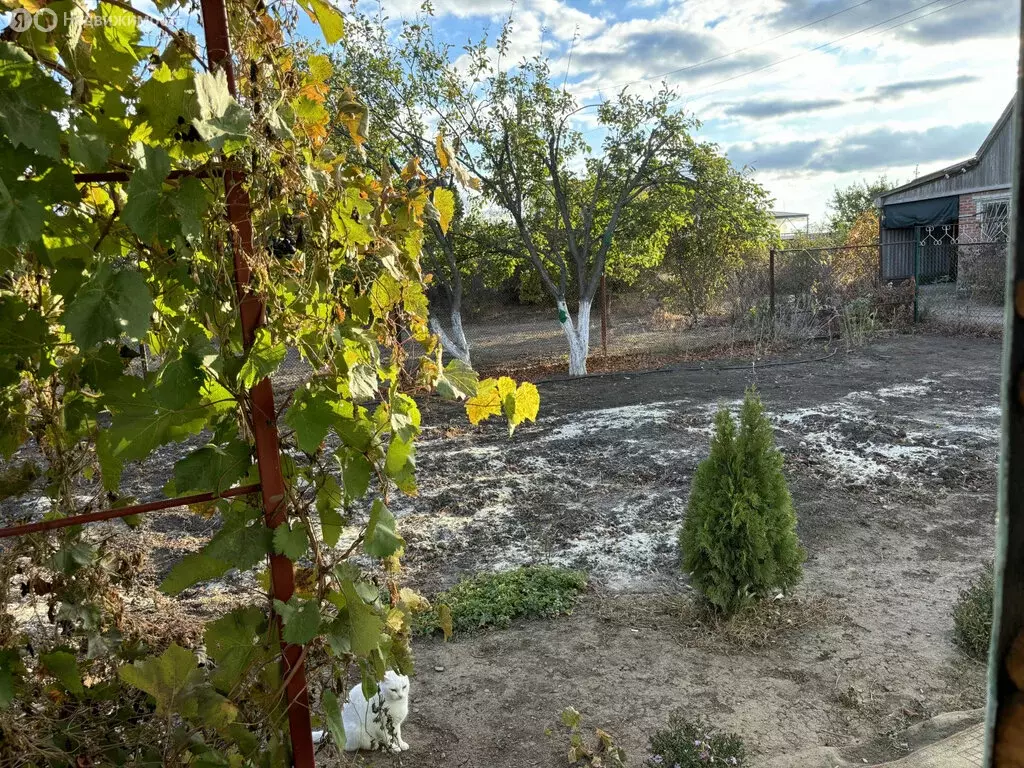 Дом в Ростовская область, Сальск (34 м) - Фото 2