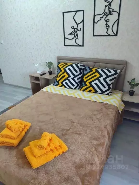 1-к кв. Забайкальский край, Чита Красноармейская ул., 63 (40.0 м) - Фото 2