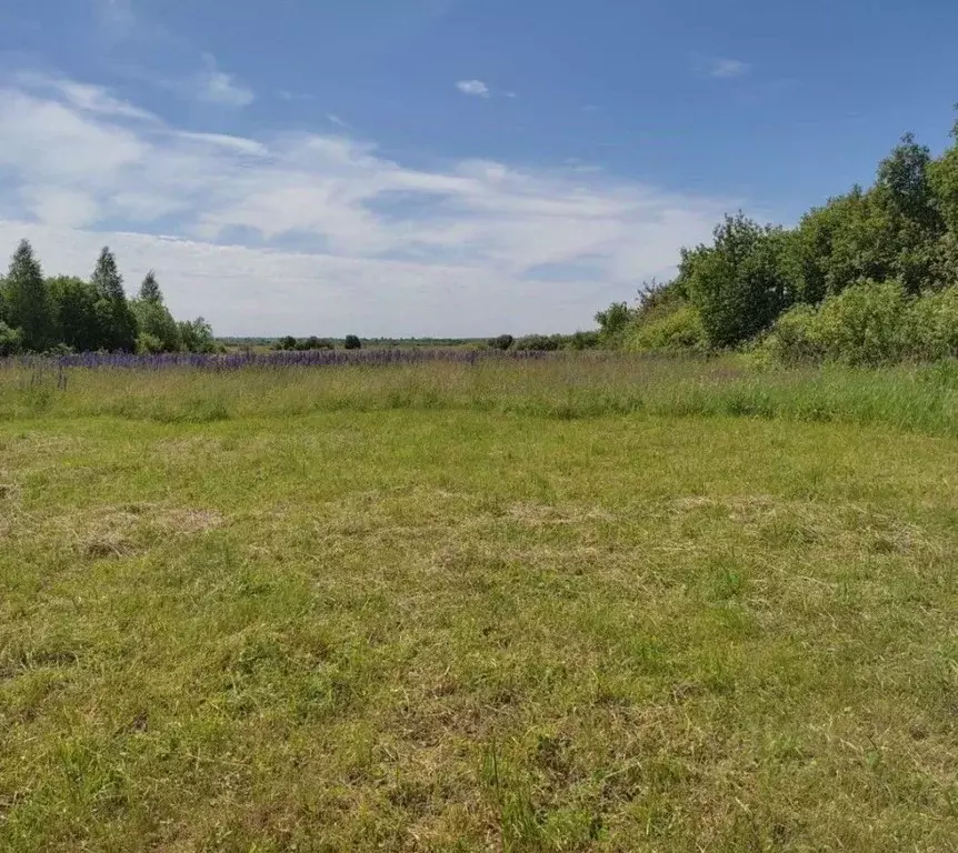 Участок в Нижегородская область, Арзамас городской округ, с. Хватовка  ... - Фото 1