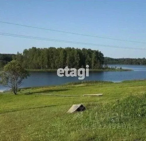 Участок в Вологодская область, Кирилловский муниципальный округ, д. ... - Фото 1