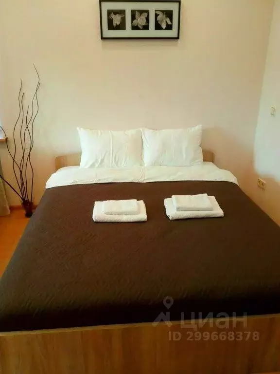 1-к кв. Московская область, Балашиха Советская ул., 9 (20.0 м) - Фото 2