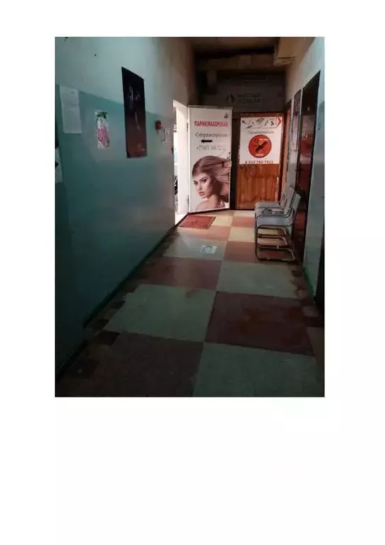 Помещение свободного назначения в Новосибирская область, Новосибирский ... - Фото 1