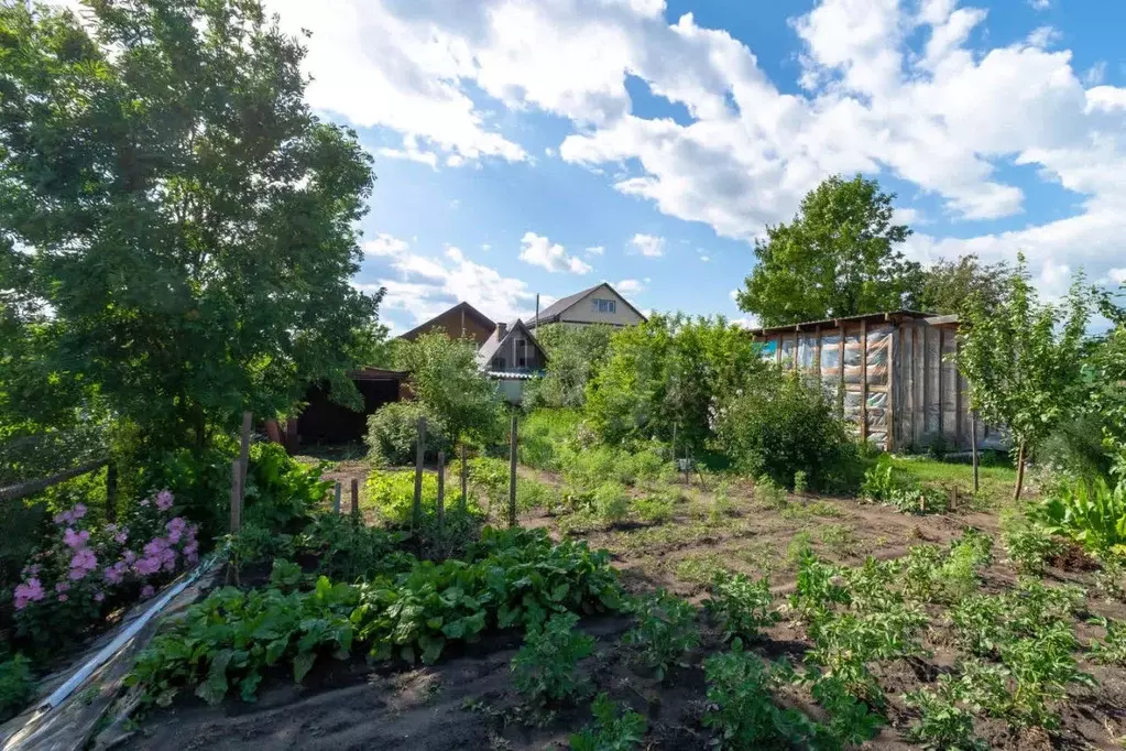 Участок в Тюменская область, Тюмень Садовое товарищество Липовый ... - Фото 1